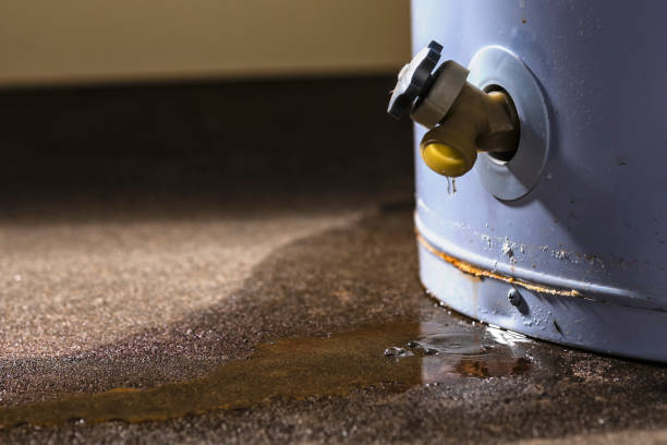 Best Sewage cleanup and water damage restoration  in Cornville, AZ
