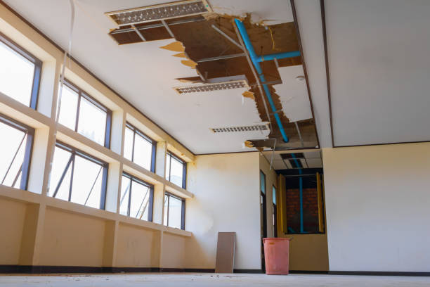 Best Ceiling water damage repair  in Cornville, AZ