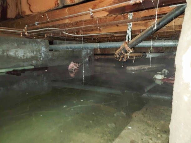 Water damage restoration experts in AZ