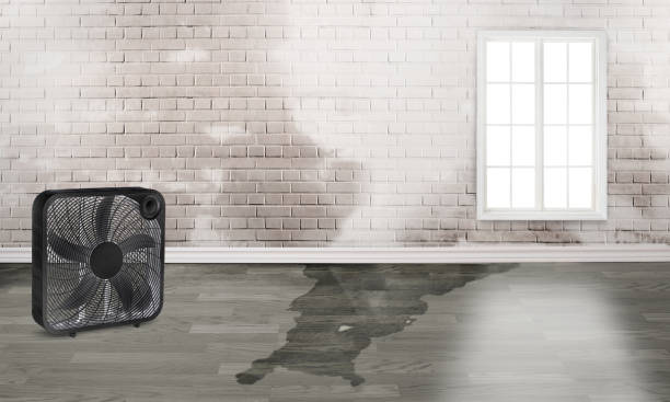 Water damage restoration process in AZ