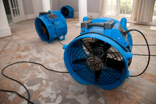 Best Fire Damage Restoration  in Cornville, AZ