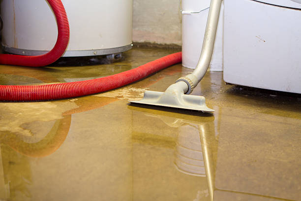 Best Basement water damage restoration  in Cornville, AZ