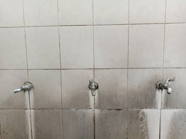Best Emergency water damage restoration  in Cornville, AZ